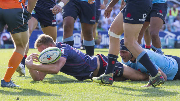 No try: Reece Hodge loses control of the ball across the line.