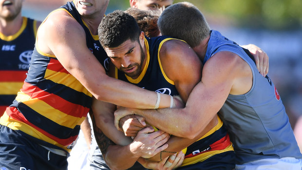 Not so fast: Adelaide's Curtly Hampton is held up.