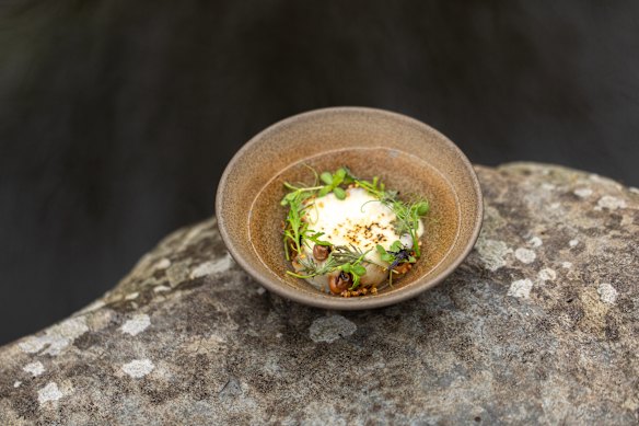 Kangaroo Valley Jerusalem artichokes with pickled muntries, Yarrawa cheese, winter shoots and vinegars.