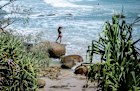 Wategos Beach