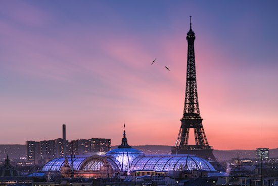 Refurbishment of the Grand Palais, near the Eiffel Tower in Paris, is expected to cost more than $800 million.