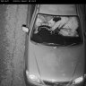 'Like driving drunk': Cameras to catch drivers using phones illegally