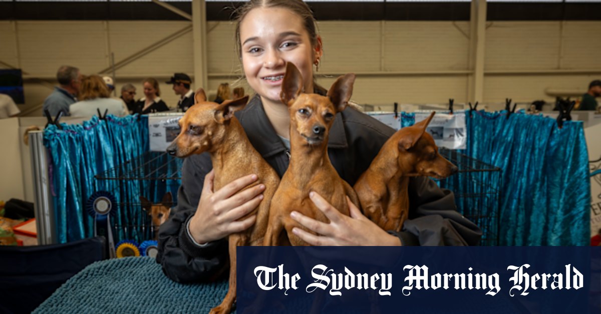 Meet the teenagers showing dogs, horses and working sideshows