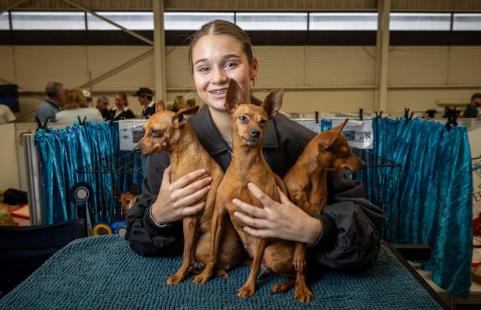 Melbourne Royal Show: Meet the Teenagers Showing Dogs, Horses and W...