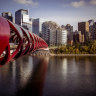 The Calgary Skyline.