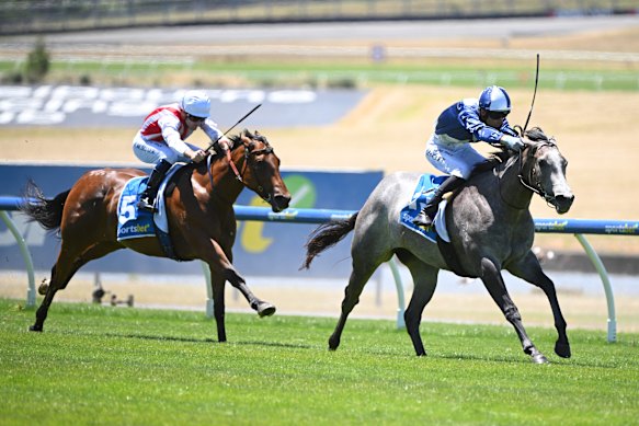 Anthony and Sam Freedman look for Price Tag to kick-start Sydney move