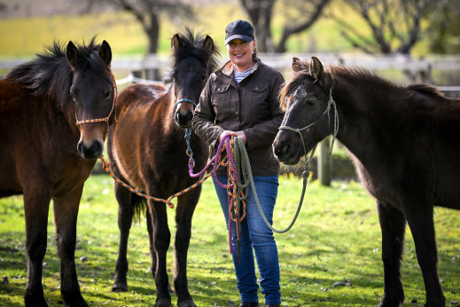 Leslie Scott with former brumbies Milo, left, and Lucy, right, and their offspring, Quincy, centre.