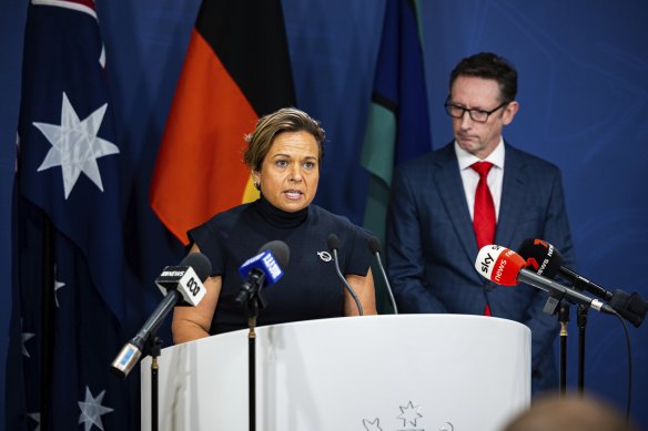 Assistant Treasurer Stephen Jones and Communications Minister Michelle Rowland have been leading the government’s work on a new model to fund journalism.