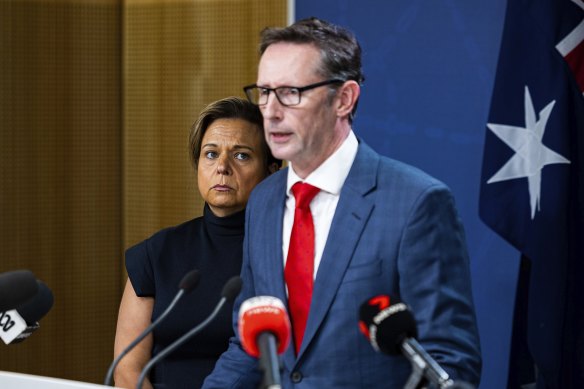 Assistant Treasurer Stephen Jones and Communications Minister Michelle Rowland are leading the government’s attempts to rein in big tech.