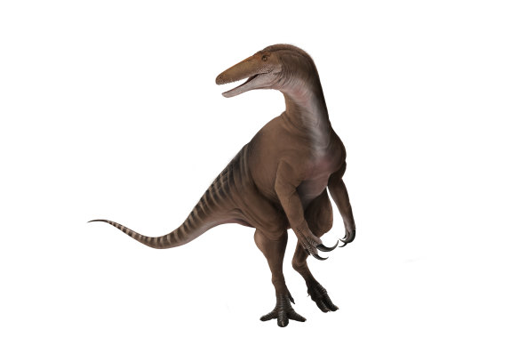 A megaraptor.