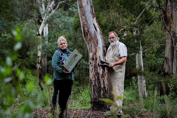 Darebin Creek Management Committee executive officer Annette Salkeld (left) and ranger Peter Wiltshire with a vandalised wildlife box.