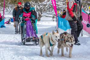 Mush! Mush! Sam Hughes, 14, travelled from New Zealand to compete in the 2019 Dinner Plain Sled Dog Challenge on the weekend.