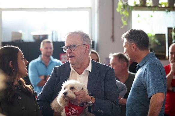 Toto lapped up the prime minister’s pats as he spoke with Labor supporters.