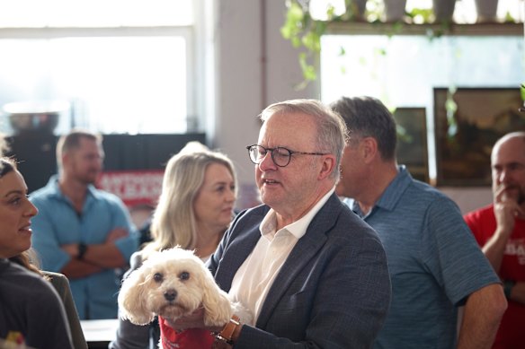Albanese’s dog, Toto, also made an appearance with her bandana that reads “no one held back, no one left behind”.