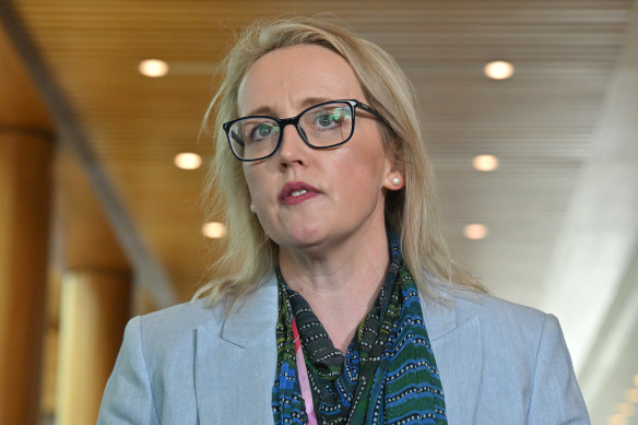 Jo Tarnawsky at a press conference at Parliament House on Thursday morning.