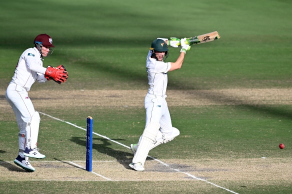 Tim Paine batting for Tasmania against Queensland earlier this month.