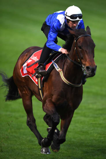 Jockey Hugh Bowman rides Winx at Moonee Valley Tuesday morning.