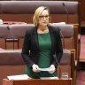The Greens’ leader in the Senate, Queensland senator Larissa Waters wants the Queenskland Governemnt to upgrade Cleveland’s Toondah Harbour, but protect the wetlands.