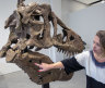 T. Rex skull sells for $6.1m at auction, well below estimates
