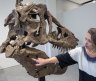 Cassandra Hatton, global head of department, Science & Popular Culture at Sotheby’s, with the Tyrannosaurus rex skull excavated from Harding County, South Dakota.