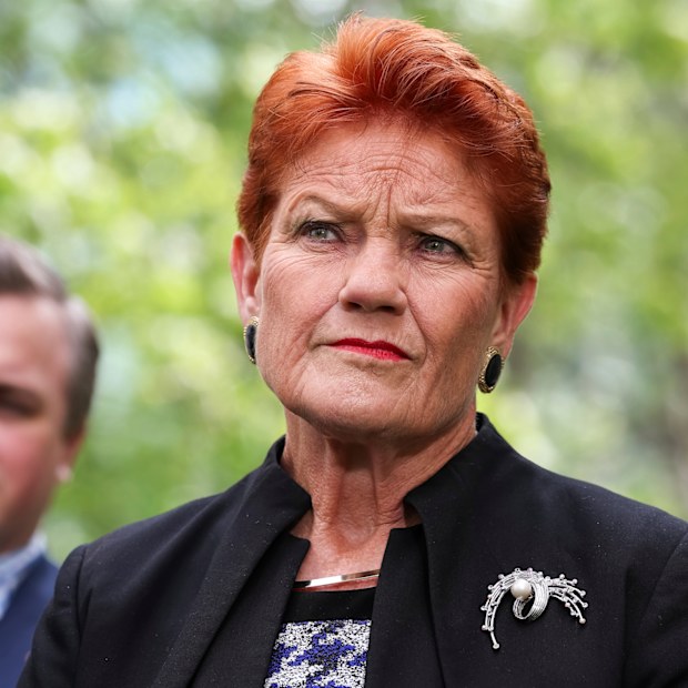 Pauline Hanson in online media blitz as One Nation starts winning the story  wars