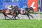 Point Of Law wins the Geelong Cup.