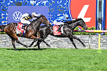 Point Of Law wins the Geelong Cup.