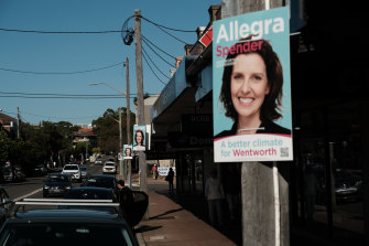 Allegra Spender’s campaign posters seriously aggrieved the Liberal Party - and Ausgrid, which took them down.