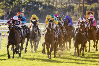 Hawkesbury is the venue for the feature NSW meeting on Sunday.