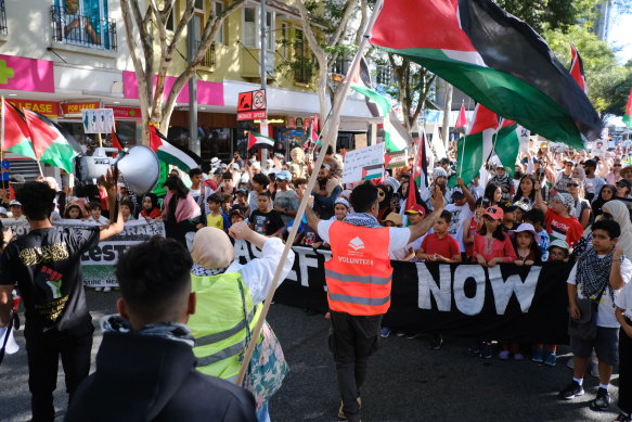 Pro-Palestinian protesters in Brisbane on Sunday call for a ceasefire in Gaza. 