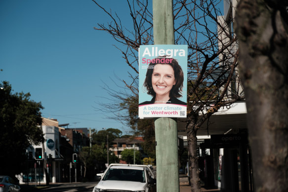 An Allegra Spender campaign poster in Rose Bay.