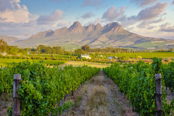 The Dolomites meets Rhone Valley in Stellenbosch. 