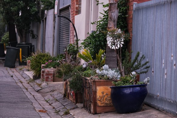 Garden beds on Dalgety Lane.