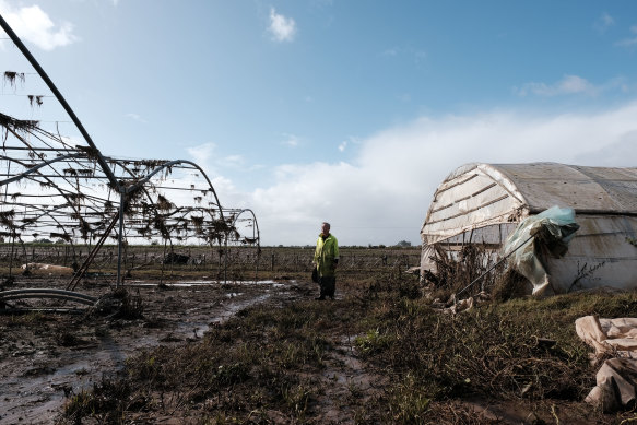 Farmer Jing Gang Liu lost $100,000 in crops in the third flood to hit his farm in Freemans Reach this year.