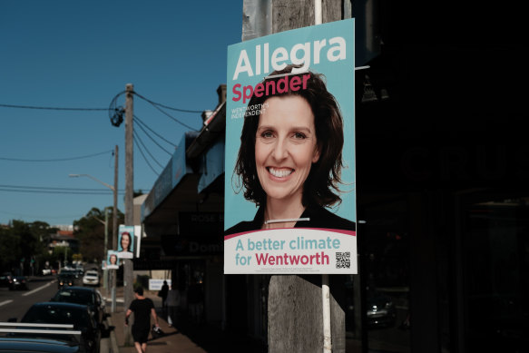 Allegra Spender’s political campaign poster.