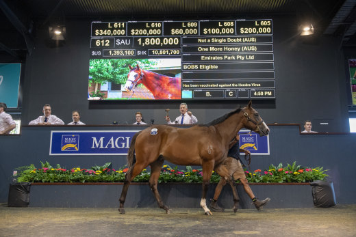 Tony Fung and Phoenix are cornering the market on Not A Single Doubt colts at Magic Millions with the son of One More Honey bring $1.8 million on Thursday.