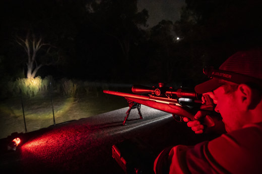 Lee Parker takes aim on the NSW Local Land Services rusa deer cull in the Sutherland Shire.
