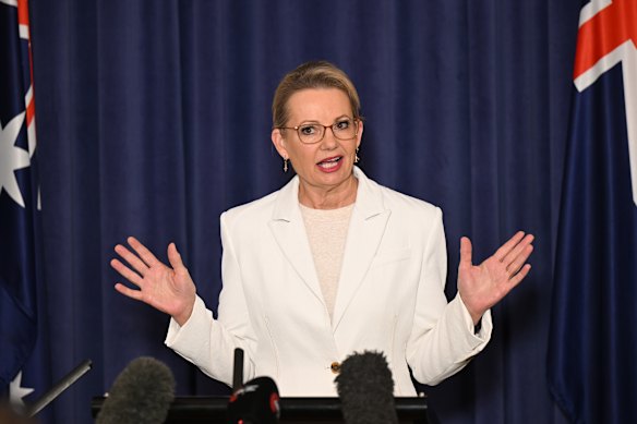 Liberal leader Sussan Ley during a press conference on Tuesday.