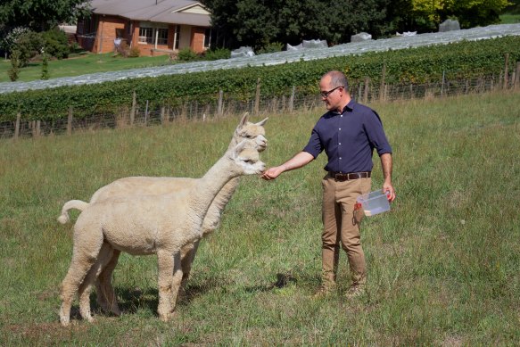 James Merlino at his Dandenong Ranges home earlier this year.