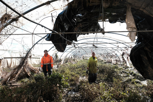 Farmer Jing Gang Liu and son Jeremy survey the damage caused by the third flood to hit the Windsor area this year.