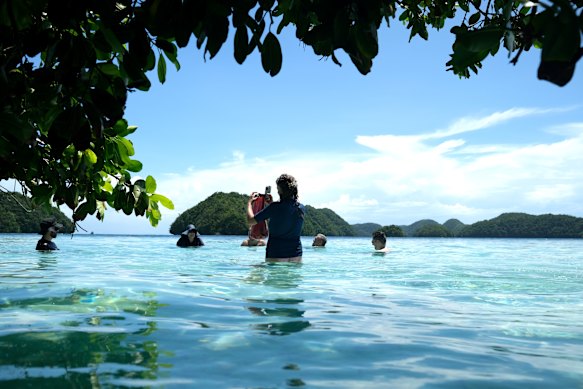 Palau offers its best experiences on (or in) the water.