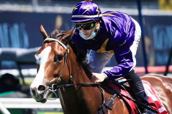 Trainer wants barrier-trial star to put it all together on race day