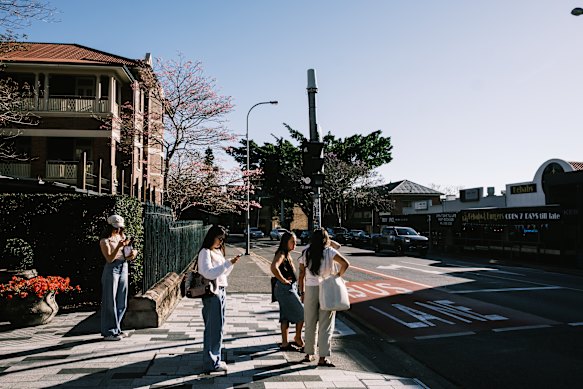 I somehow secured a tiny piece of Brisbane’s most wonderful suburb before anyone realised how cool it was.