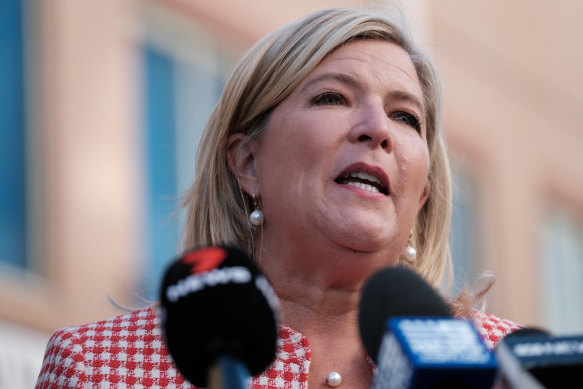 Mental Health Minister Bronnie Taylor says the NSW government has invested in the state’s mental health system.