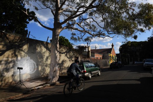 Tree canopy cover in the inner west is about 17 per cent, less than the Sydney-wide average of 23 per cent.
