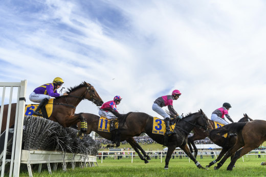 Clayton Douglas and Gold Medals (No.3) take a jump during the 2021 Grand Annual.