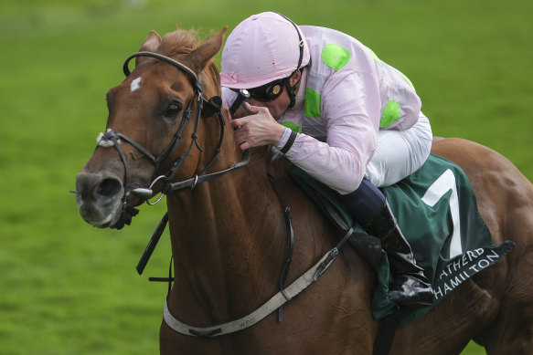 Melbourne Cup runner Vauban has been sold to Australian connections.