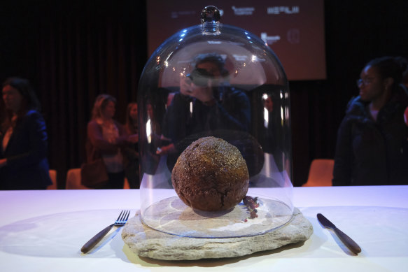 A meatball made using genetic code from a mammoth is seen at the Nemo science museum in Amsterdam.