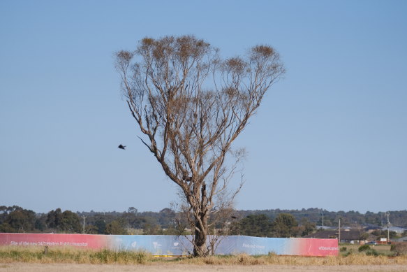 Is Melton going to break Labor’s ‘wall’ in the west? - The Age