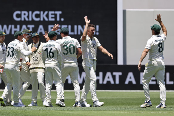 Australia celebrate after Josh Hazlewood’s dismissal of Virat Kohli.